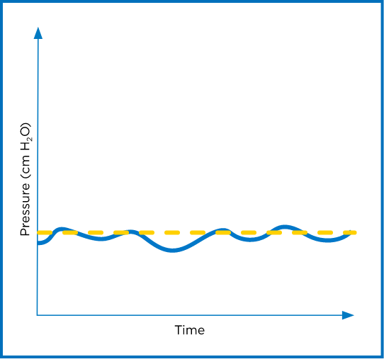 correct graph section 1 q2