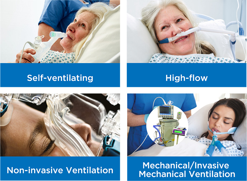 correct graph section 1 q2